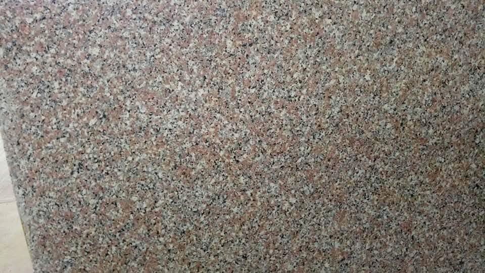 WhatsApp Image 2026-03-14 at 12.41.46 AM