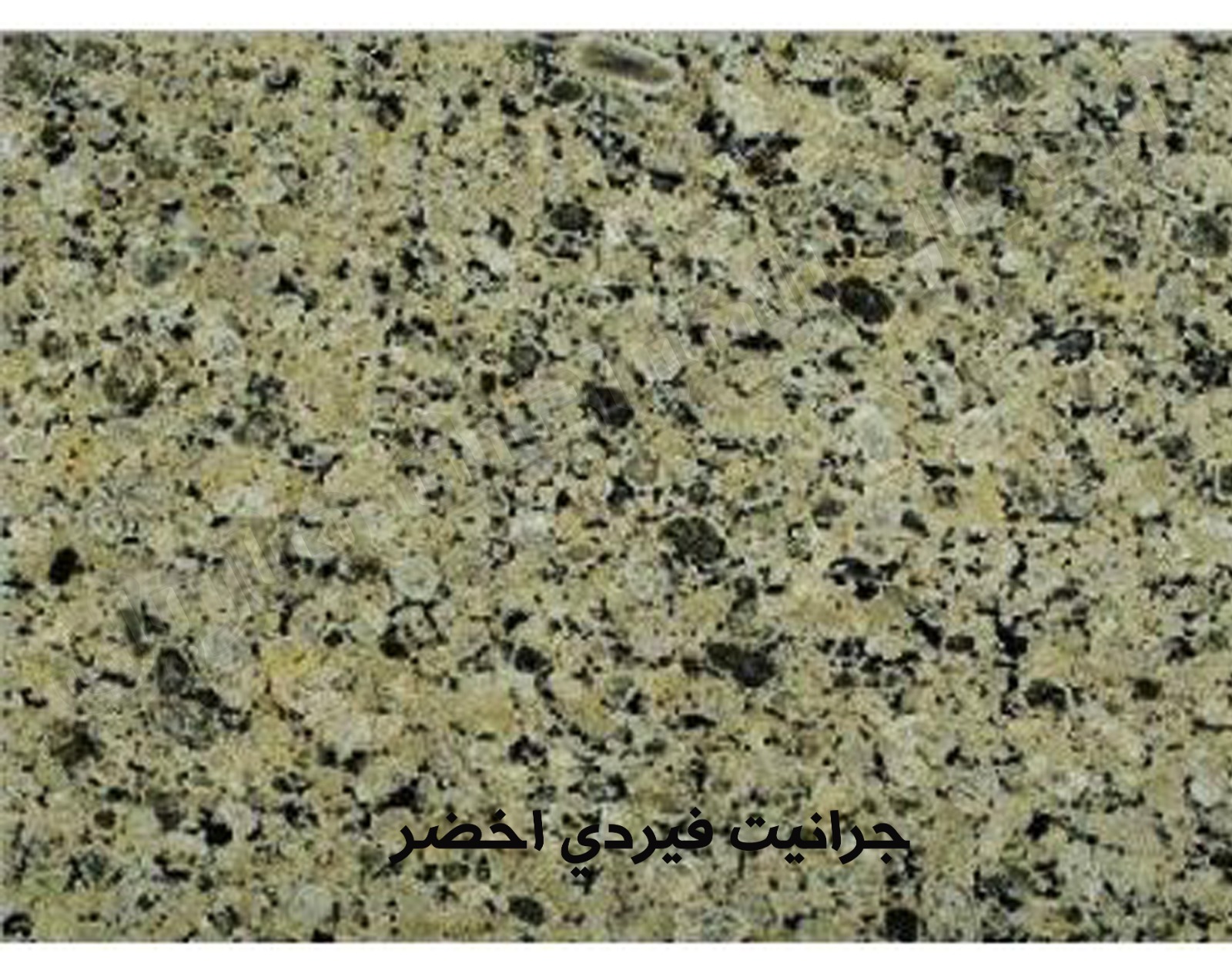 WhatsApp Image 2026-03-14 at 12.43.36 AM