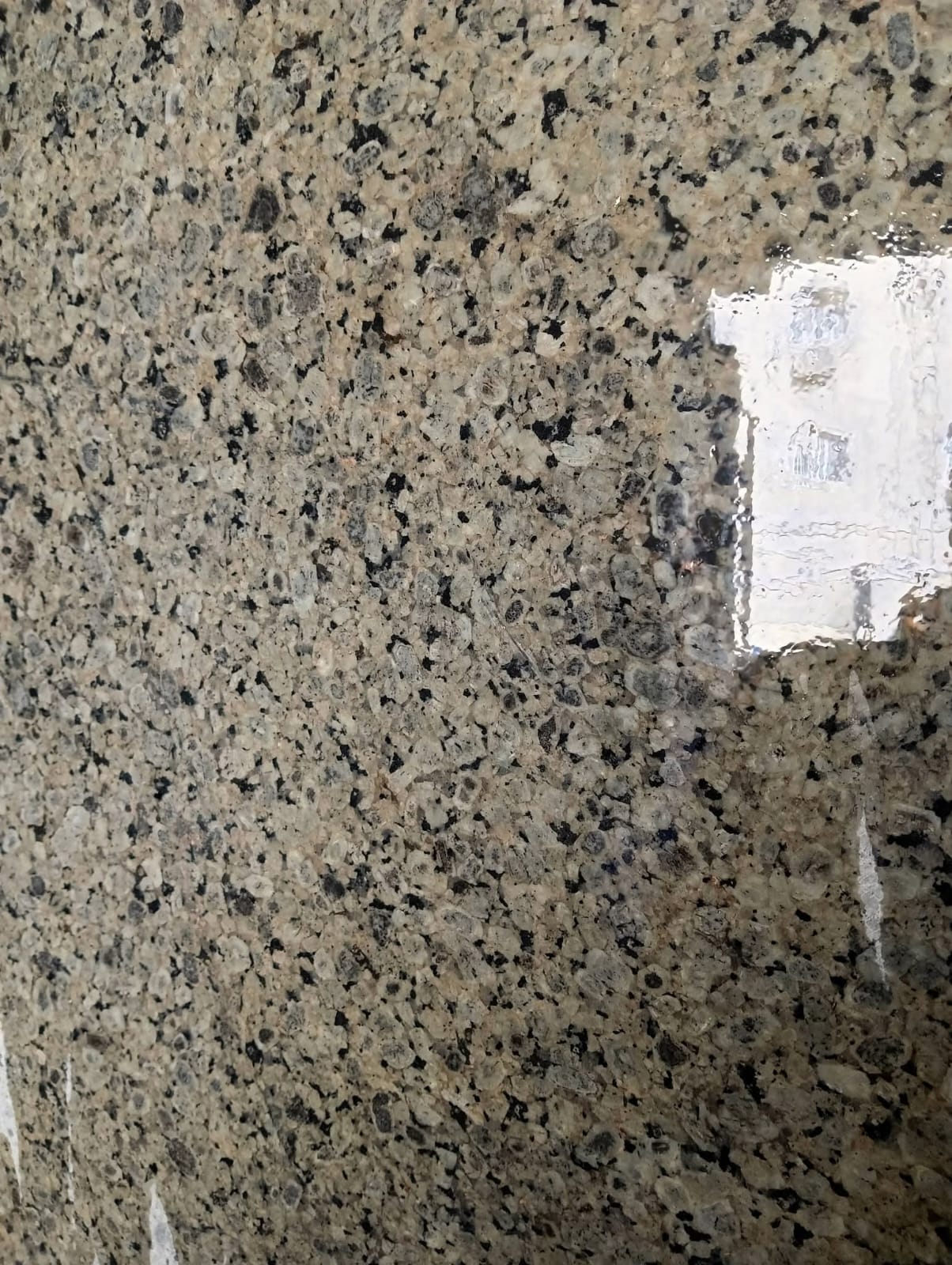 WhatsApp Image 2026-03-14 at 12.43.37 AM (1)