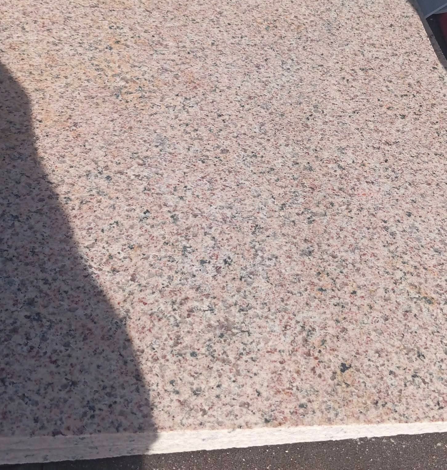 WhatsApp Image 2026-03-14 at 12.44.38 AM