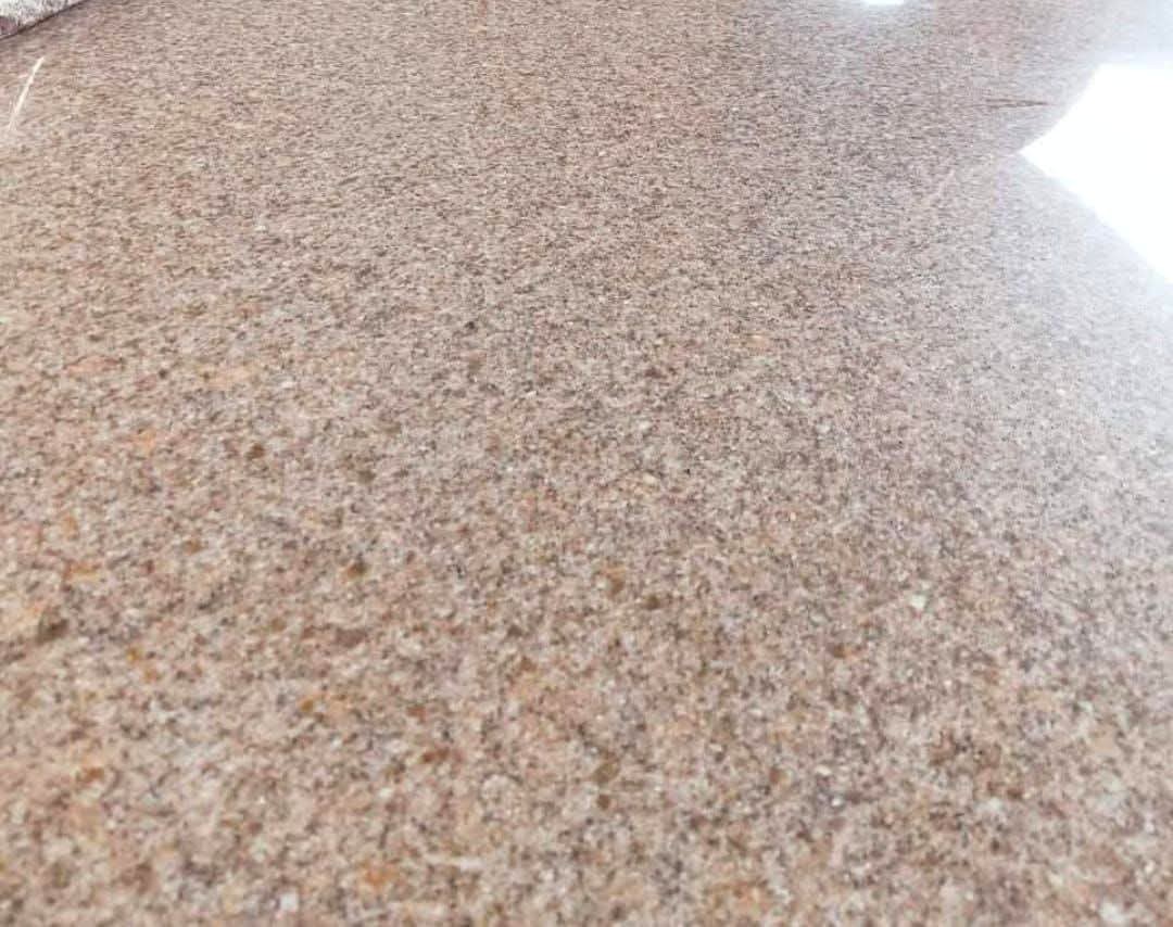 WhatsApp Image 2026-03-14 at 12.44.39 AM (1)