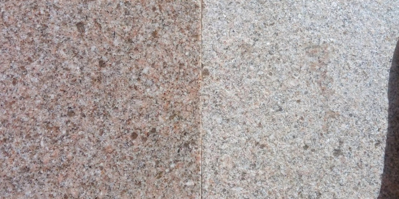 WhatsApp Image 2026-03-14 at 12.44.39 AM