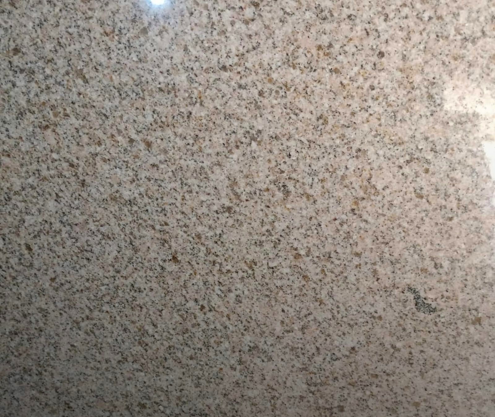 WhatsApp Image 2026-03-14 at 12.44.40 AM