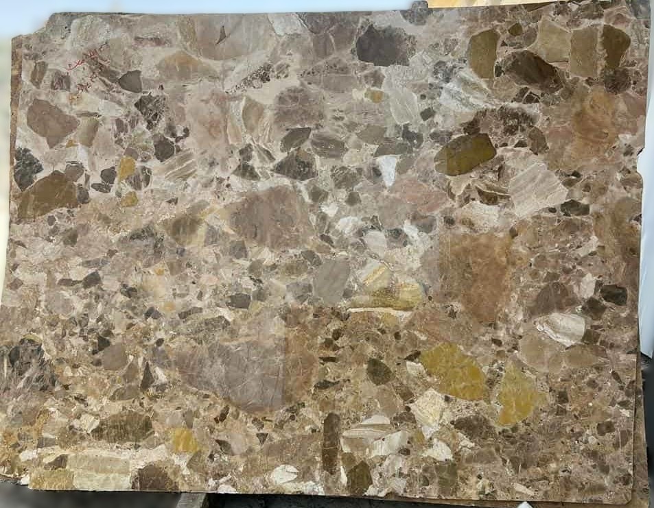 WhatsApp Image 2026-03-14 at 4.22.13 PM