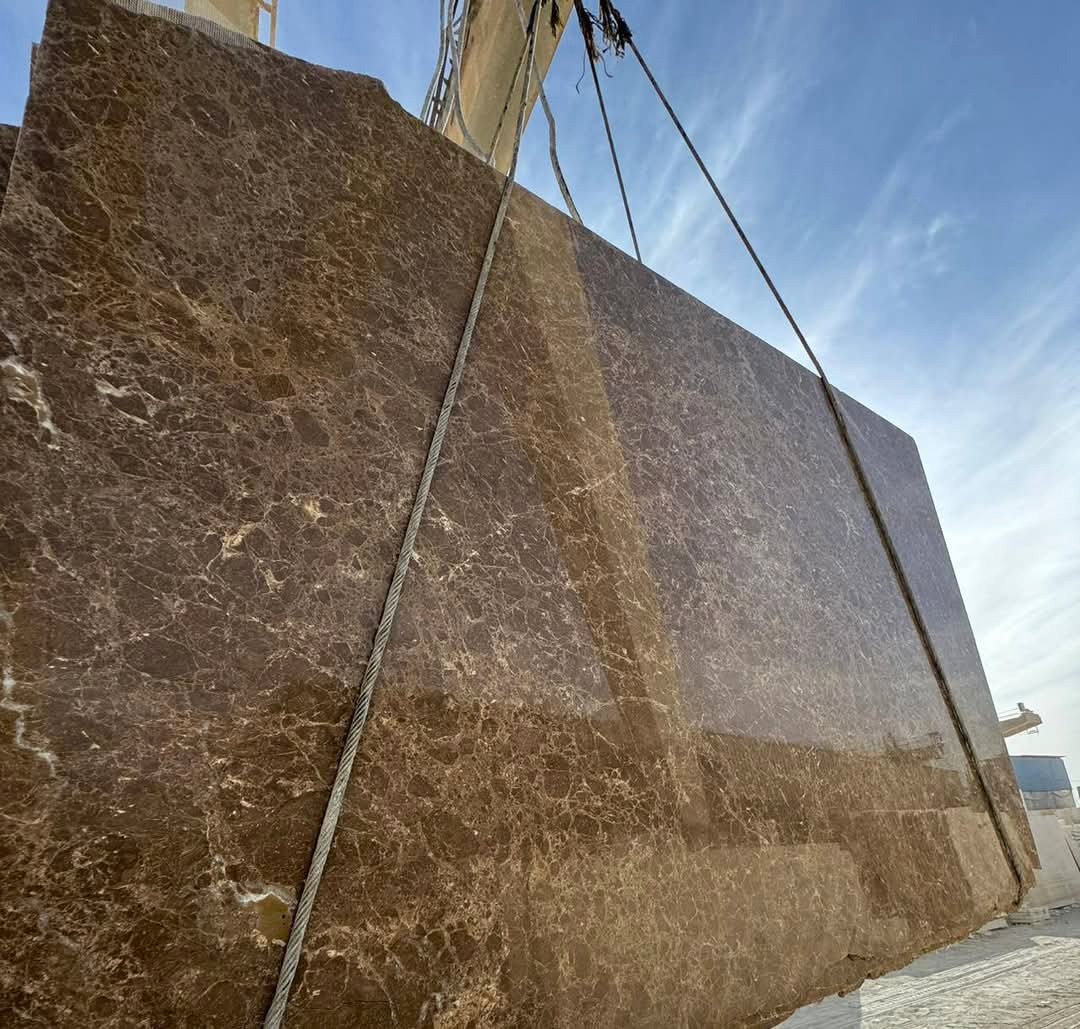 WhatsApp Image 2026-03-14 at 4.23.26 PM (2)