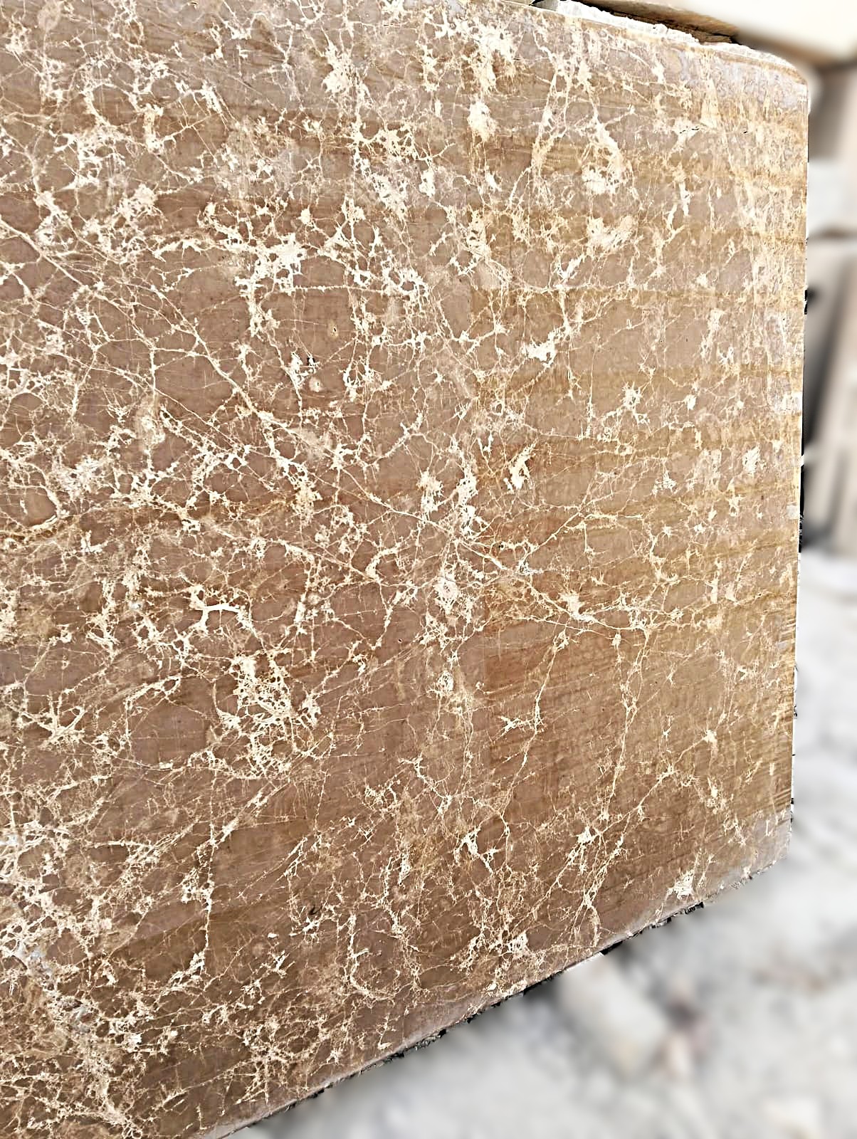 WhatsApp Image 2026-03-14 at 4.23.27 PM (1)