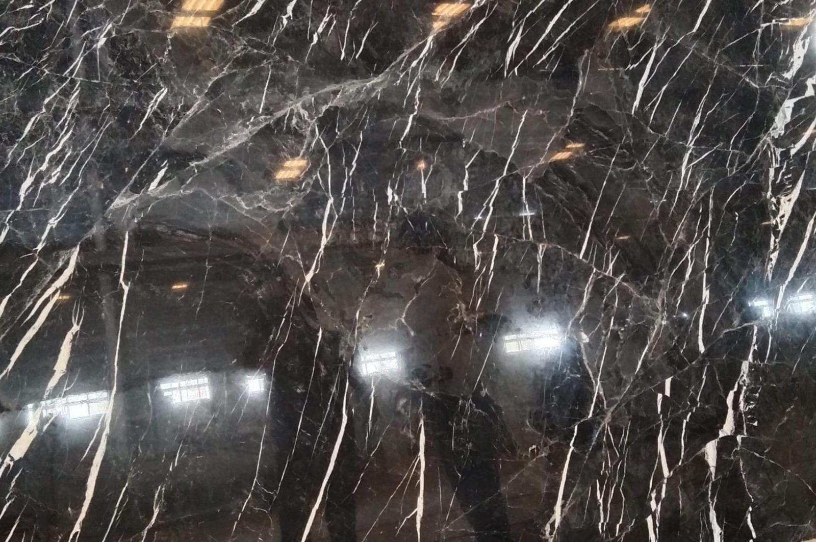 WhatsApp Image 2026-03-14 at 4.24.11 PM (1)