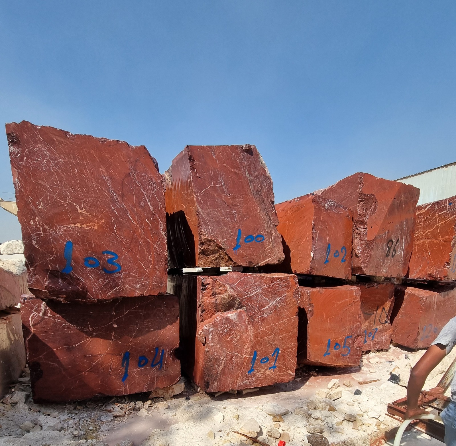 WhatsApp Image 2026-03-14 at 4.24.45 PM