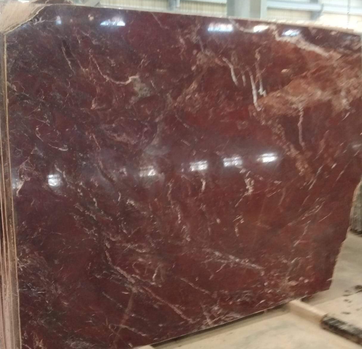 WhatsApp Image 2026-03-14 at 4.24.46 PM