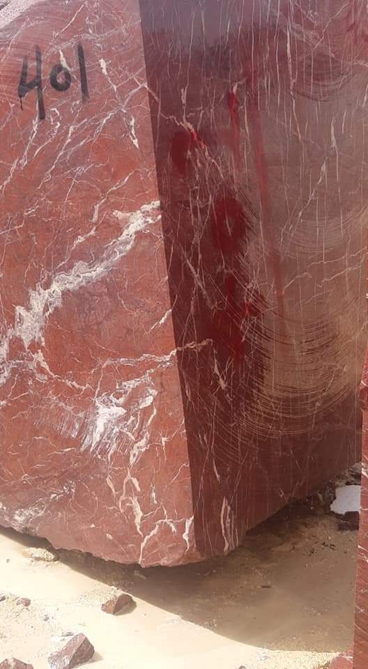 WhatsApp Image 2026-03-14 at 4.24.47 PM