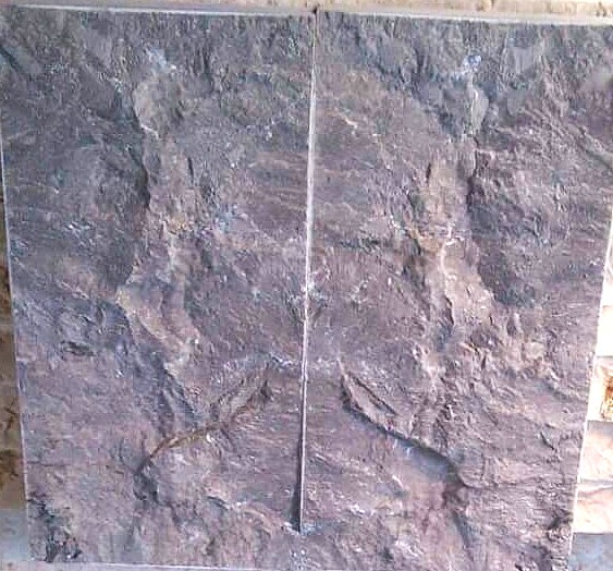 WhatsApp Image 2026-03-14 at 4.45.02 PM (1)