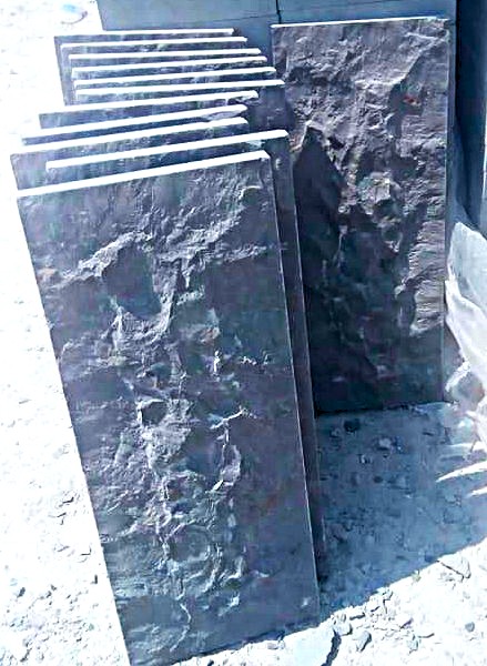 WhatsApp Image 2026-03-14 at 4.45.02 PM (2)