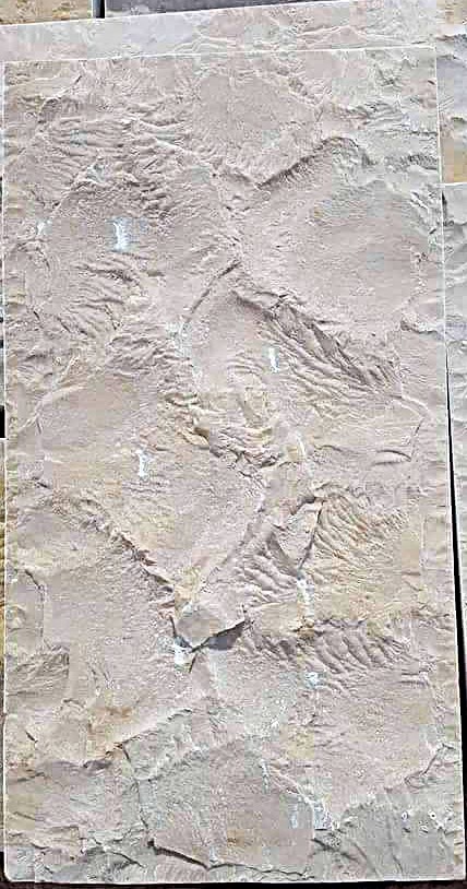 WhatsApp Image 2026-03-14 at 4.45.02 PM