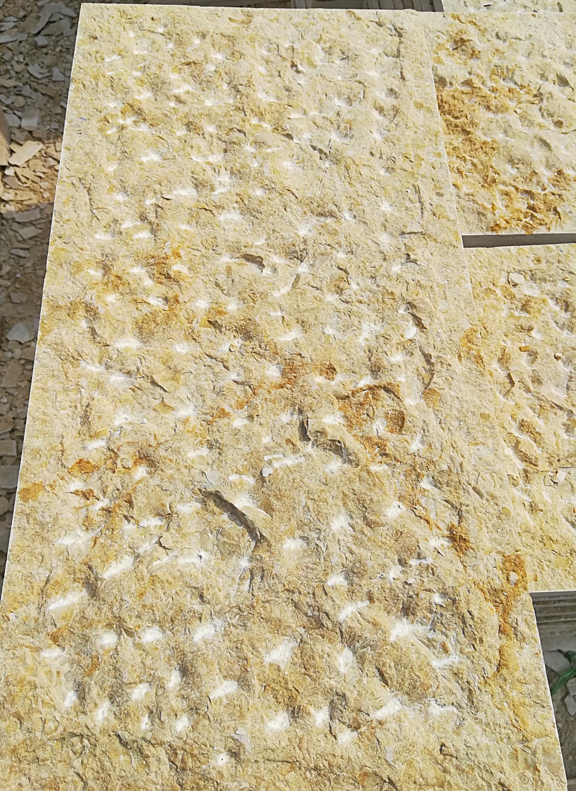 WhatsApp Image 2026-03-14 at 4.45.05 PM (1)