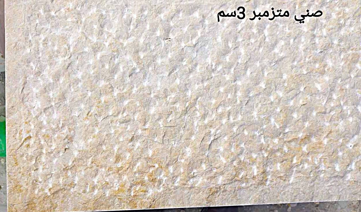 WhatsApp Image 2026-03-14 at 4.45.05 PM