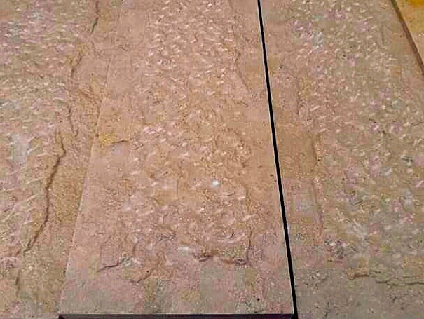 WhatsApp Image 2026-03-14 at 4.45.10 PM (1)