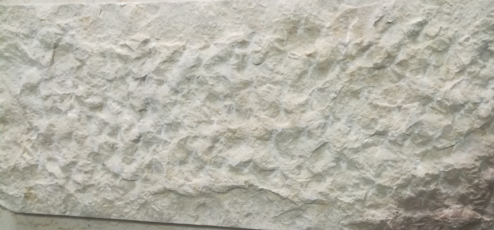 WhatsApp Image 2026-03-14 at 4.45.10 PM