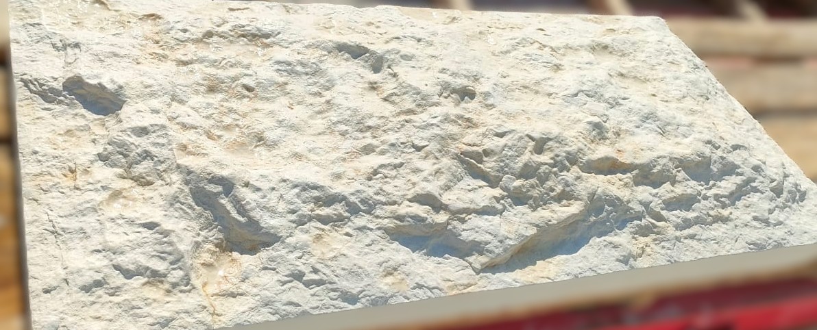 WhatsApp Image 2026-03-14 at 4.45.11 PM (1)