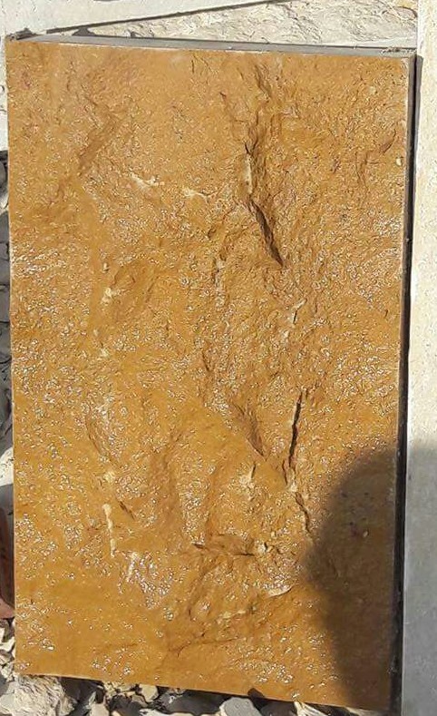 WhatsApp Image 2026-03-14 at 4.45.11 PM