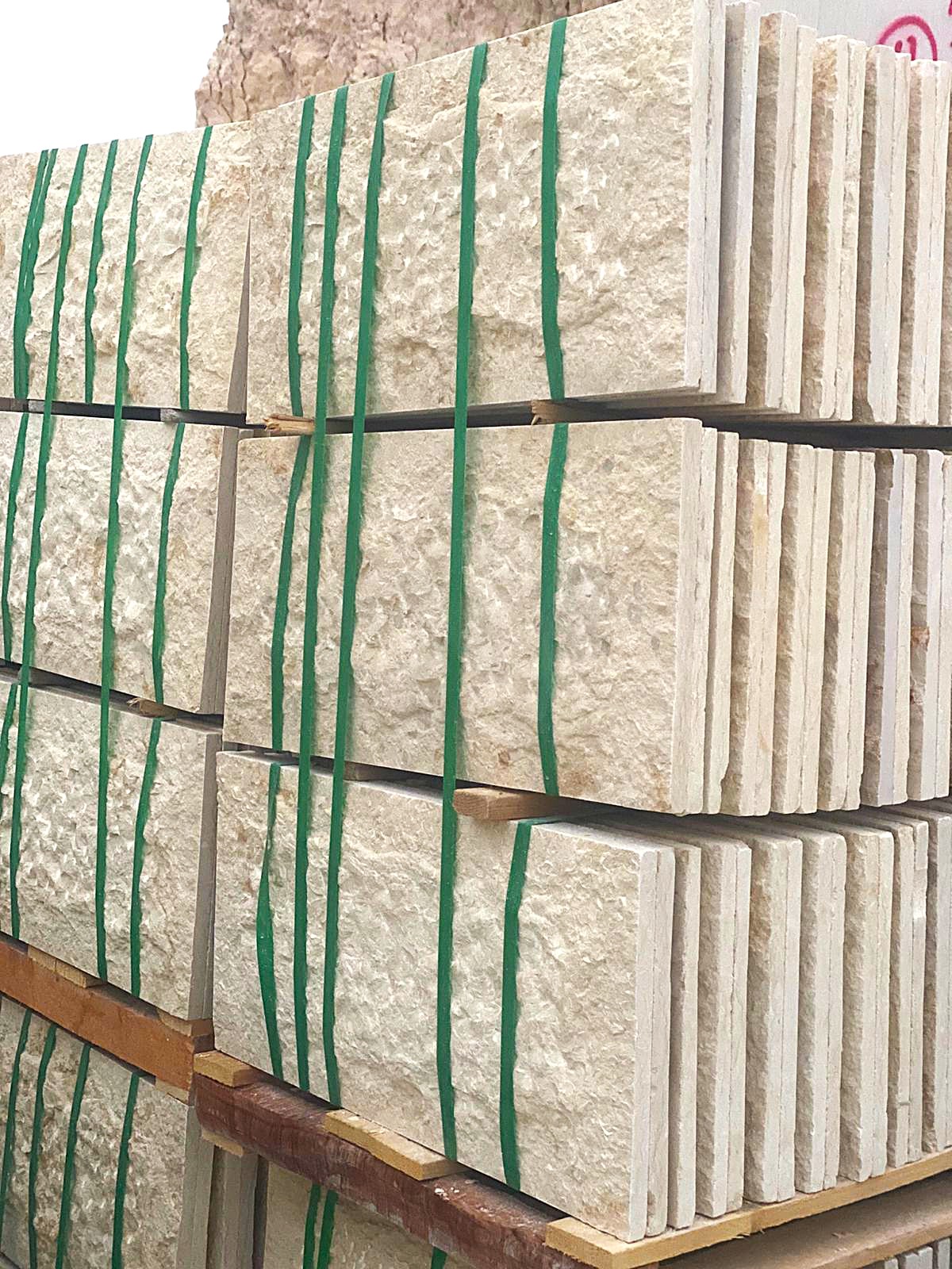 WhatsApp Image 2026-03-14 at 4.45.12 PM