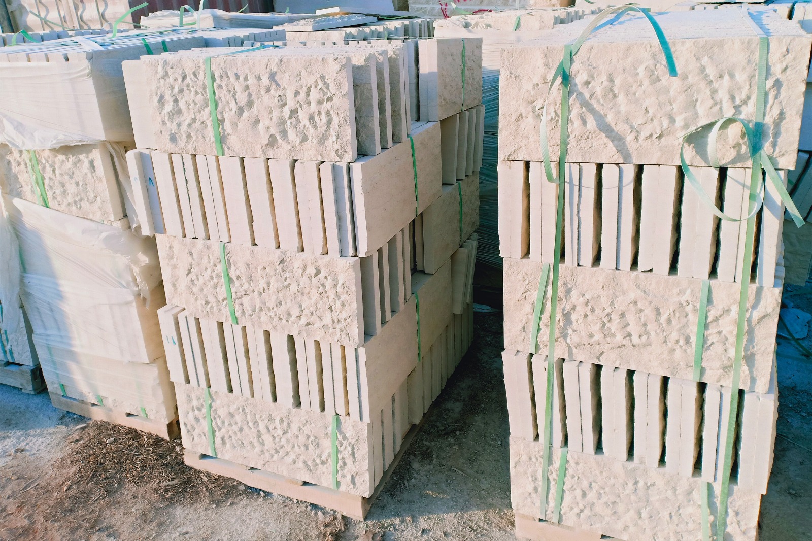 WhatsApp Image 2026-03-14 at 4.45.13 PM