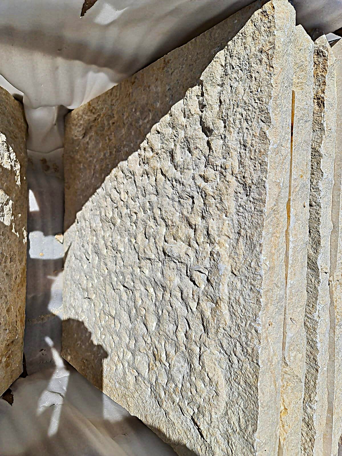 WhatsApp Image 2026-03-14 at 4.45.18 PM