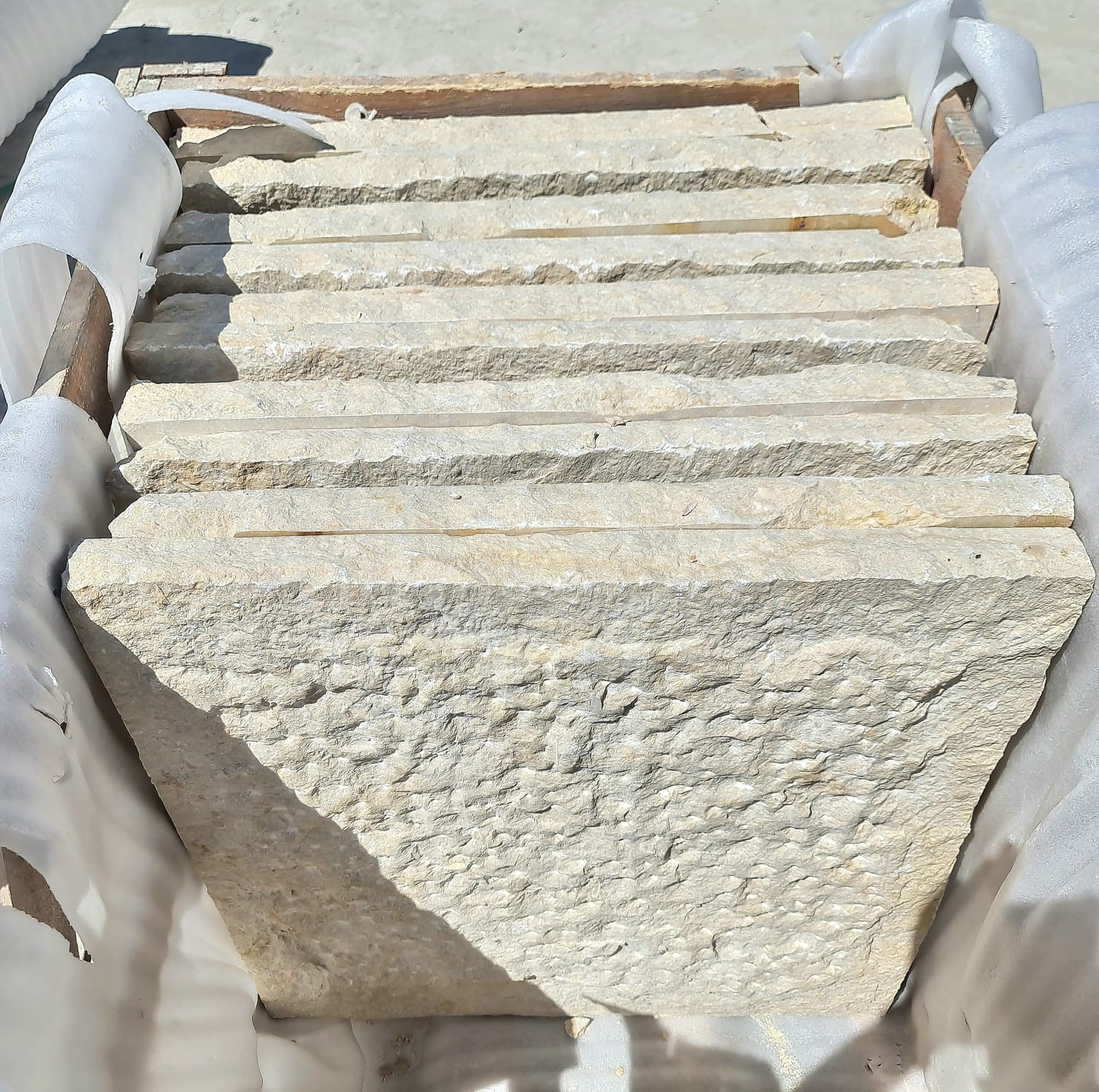 WhatsApp Image 2026-03-14 at 4.45.20 PM (1)