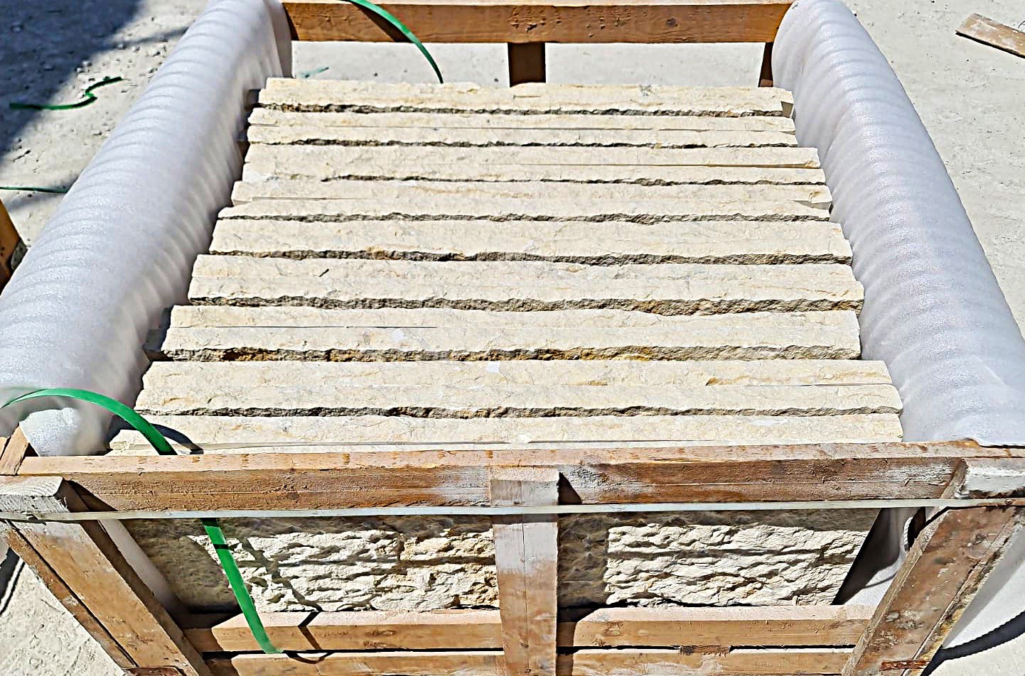 WhatsApp Image 2026-03-14 at 4.45.20 PM