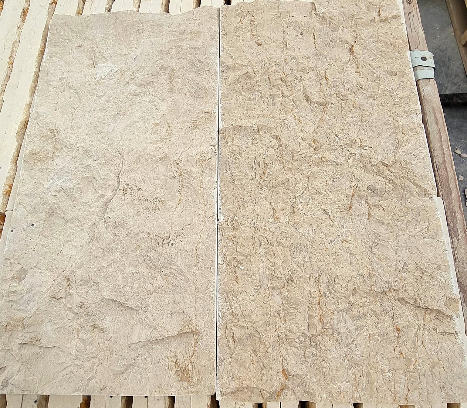 WhatsApp Image 2026-03-14 at 4.45.21 PM (1)