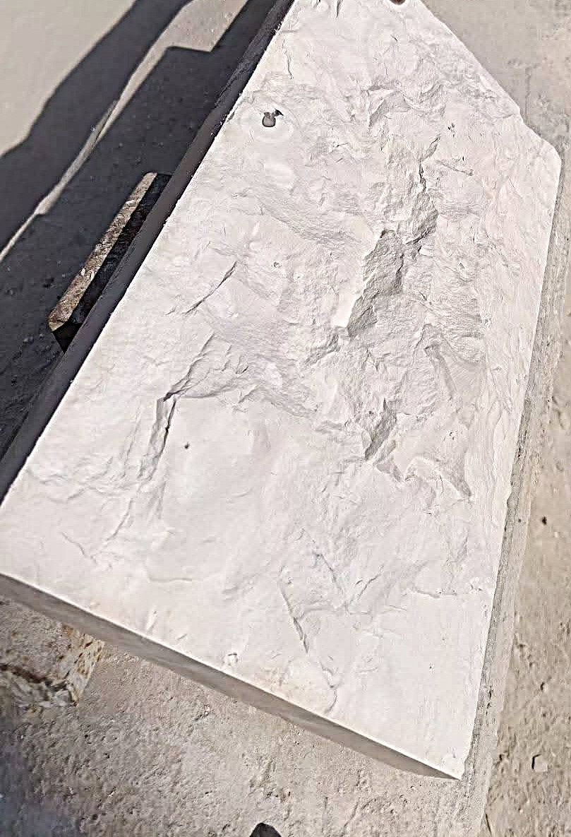 WhatsApp Image 2026-03-14 at 4.45.22 PM