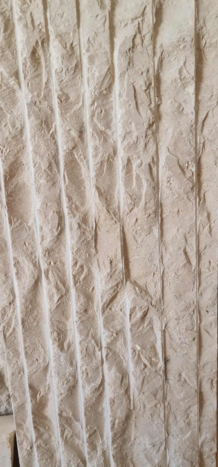 WhatsApp Image 2026-03-14 at 4.46.06 PM