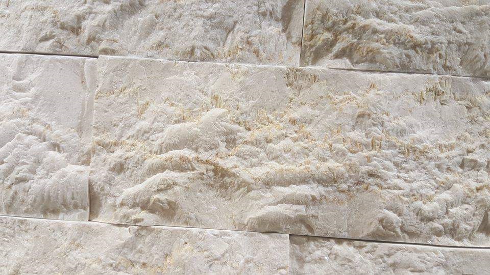 WhatsApp Image 2026-03-14 at 4.46.10 PM