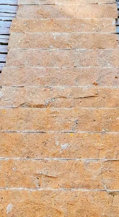 WhatsApp Image 2026-03-14 at 4.46.13 PM (1)