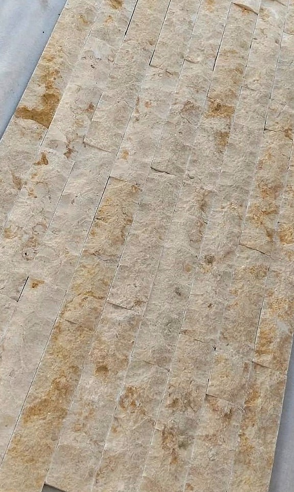 WhatsApp Image 2026-03-14 at 4.46.59 PM