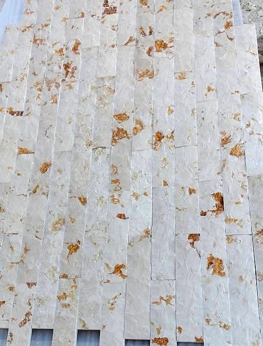 WhatsApp Image 2026-03-14 at 4.47.00 PM (1)