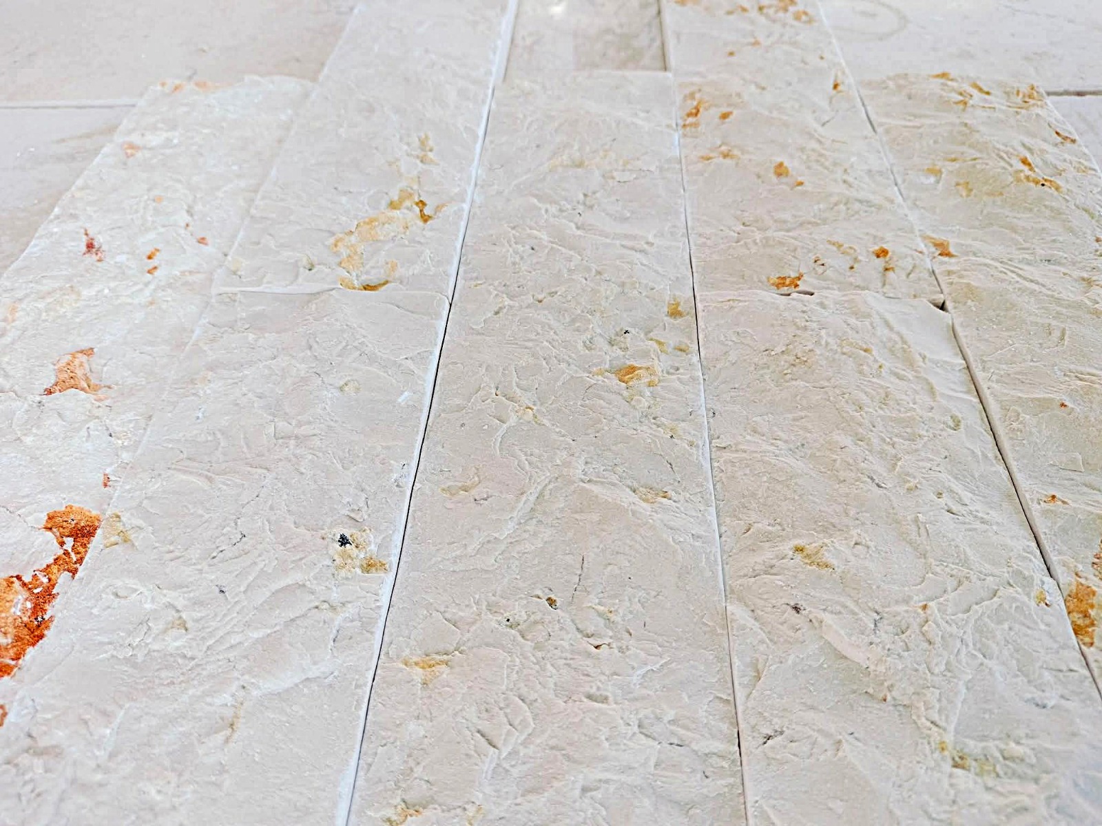 WhatsApp Image 2026-03-14 at 4.47.00 PM