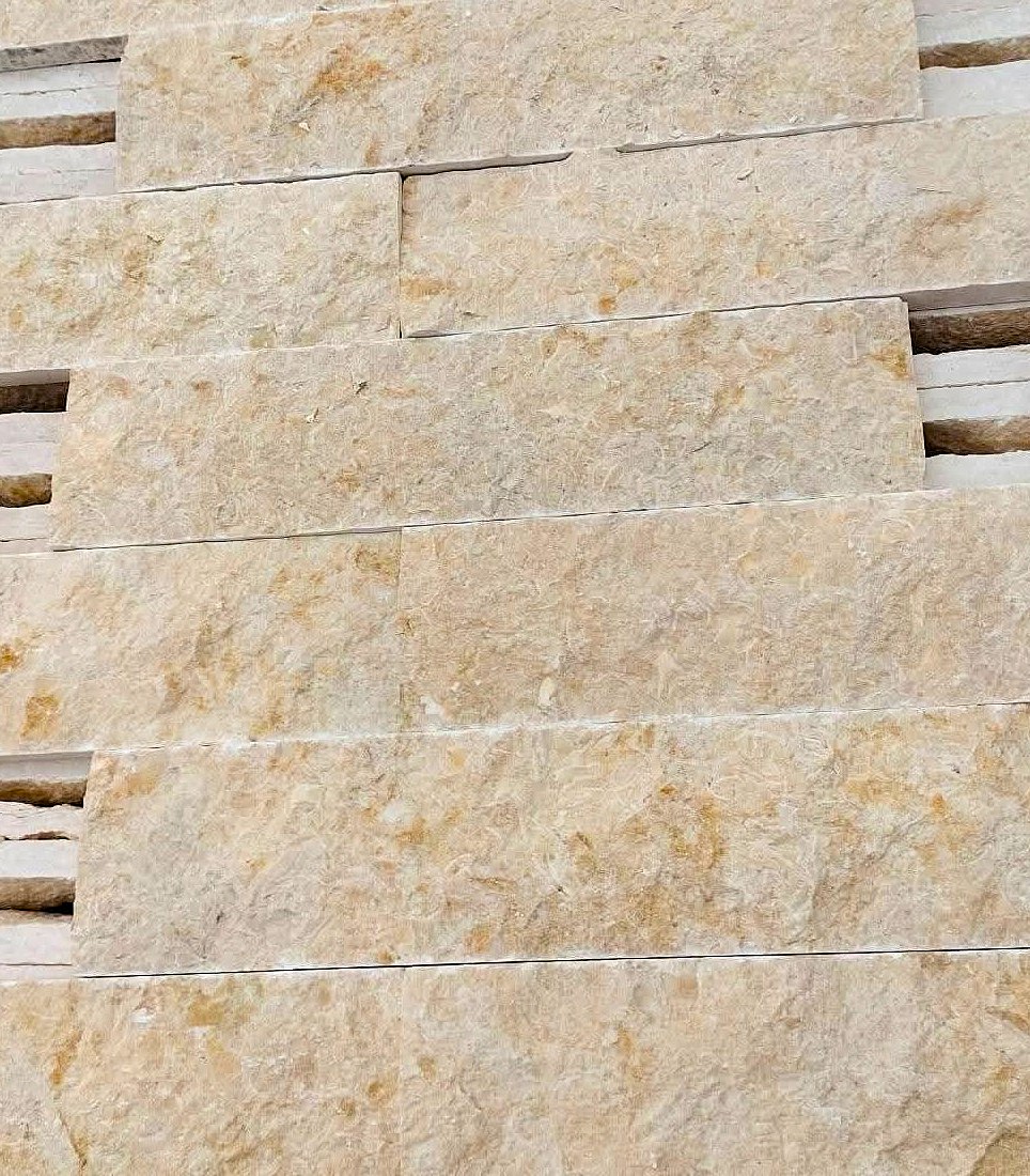 WhatsApp Image 2026-03-14 at 4.47.01 PM