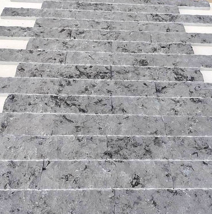 WhatsApp Image 2026-03-14 at 4.47.08 PM