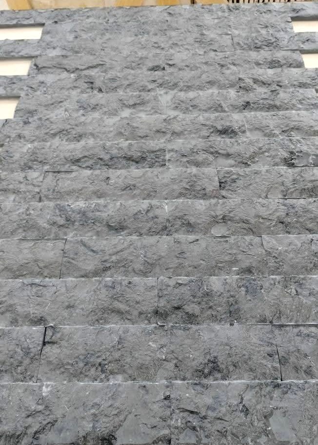 WhatsApp Image 2026-03-14 at 4.47.13 PM