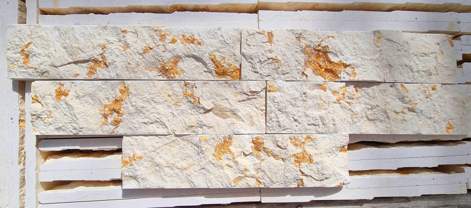 WhatsApp Image 2026-03-14 at 4.47.18 PM