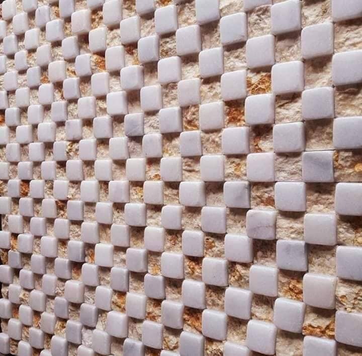 WhatsApp Image 2026-03-14 at 4.48.20 PM