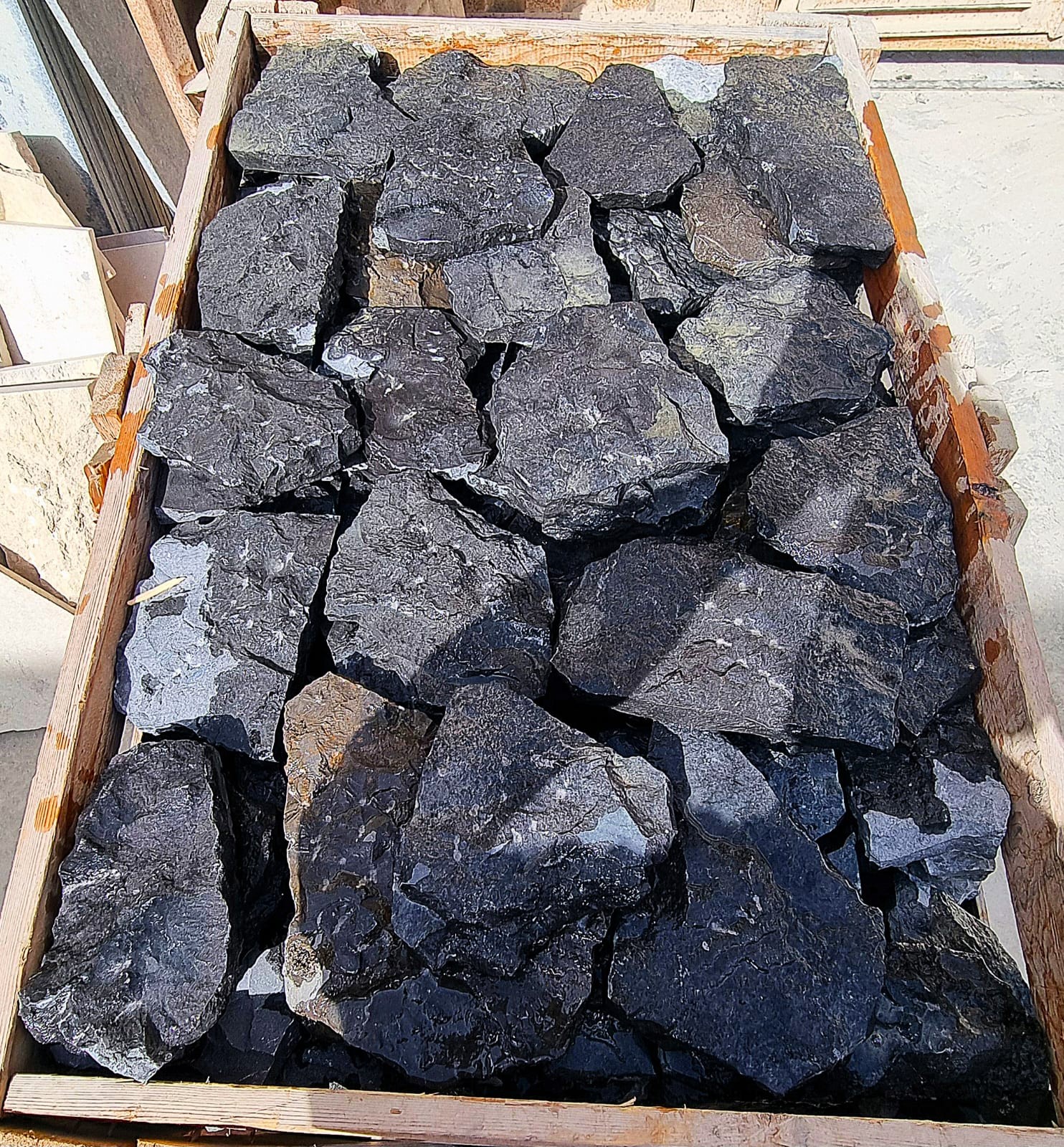 WhatsApp Image 2026-03-14 at 4.49.02 PM