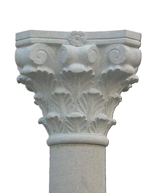 WhatsApp Image 2026-03-14 at 5.15.01 PM