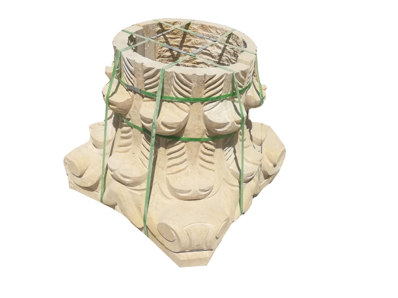 WhatsApp Image 2026-03-14 at 5.15.05 PM (1)