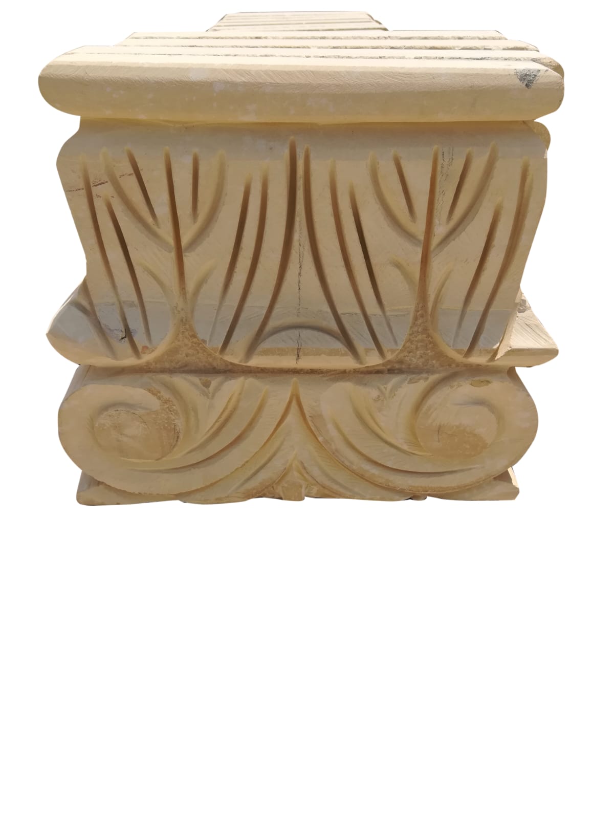 WhatsApp Image 2026-03-14 at 5.15.17 PM