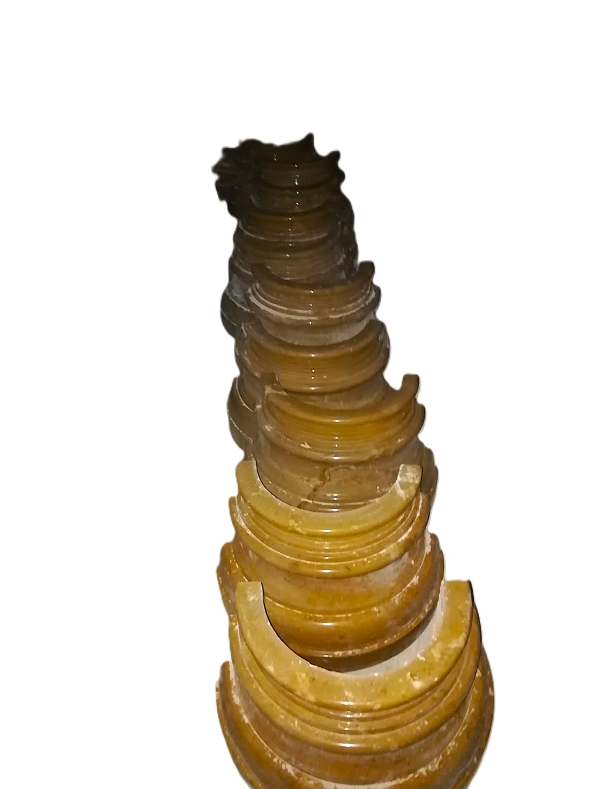 WhatsApp Image 2026-03-14 at 5.15.18 PM (1)