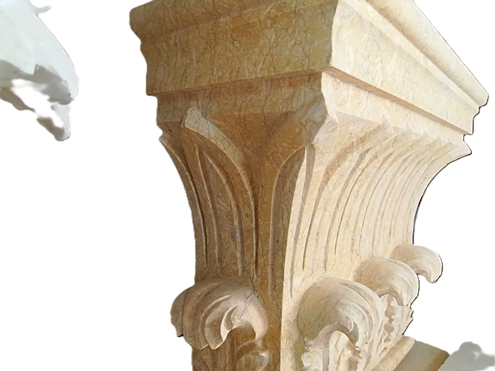 WhatsApp Image 2026-03-14 at 5.17.13 PM (1)